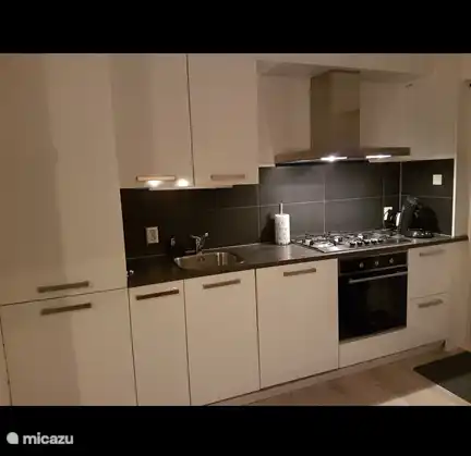 en de vernieuwde keuken voorzien van oven, koelkast, diepvries en een vaatwasser, magnetron, senseo en een gewoon koffiezetapparaat.